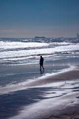 A surfer looking for the perfect wave in Port Saplaya, with the port of Valencia in the background