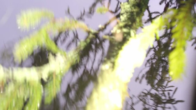 Drone crash. During the filming, the drone hit a tree and got stuck on it