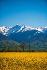 Fagaras mountrains landscape in the spring