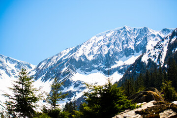 Fototapeta premium Fagaras mountrains landscape in the spring