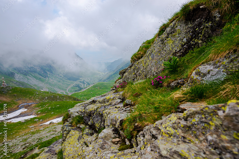 Canvas Prints landscape in retezat mountains, romania