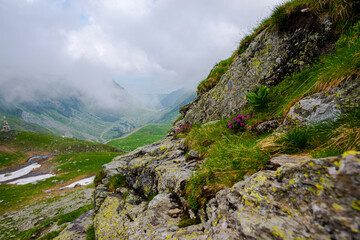 Landscape in Retezat Mountains, Romania