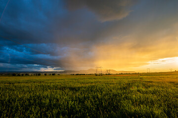 Amazing landscape at the sunset in the poppies field