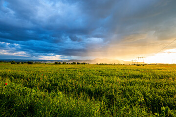 Amazing landscape at the sunset in the poppies field