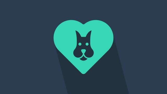 Turquoise Heart with dog icon isolated on blue background. Pet paw in heart. Love to the animals. 4K Video motion graphic animation