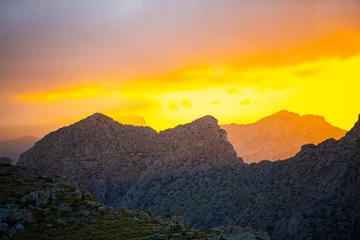 Fototapete Gelb Landscape in Mallorca island, Spain  © somra