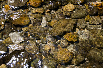 Obraz na płótnie Canvas Fondo de un río de agua cristalina con piedras