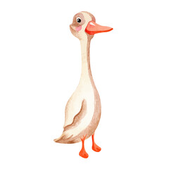 Cute Kids duck with pink cheeks. Funny watercolor animal greeting card for children