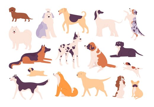 Flat dogs and puppies big and small breed types. Shiba inu, german shepherd, beagle, pug, dachshund and husky. Pet animal dog vector set