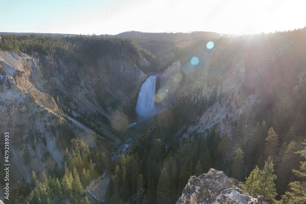 Wall mural Lower Yellowstone Falls, Yellowstone National Park, Wyoming