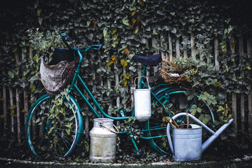 Altes Fahrrad vor einem mit Efeu bewachsenen Zaun
