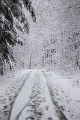 Schneebedeckter Weg durch einen Winterwald