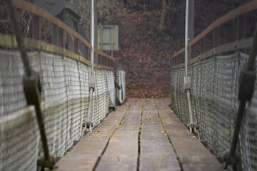 Bridge