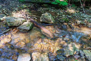 summer morning, walking along the bed of a mountain river that has become shallow by the beginning...