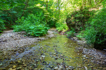 summer morning, walking along the bed of a mountain river that has become shallow by the beginning...