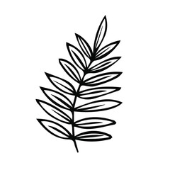 One hand drawn floral element. black vector plant element for design. Doodle isolated on white