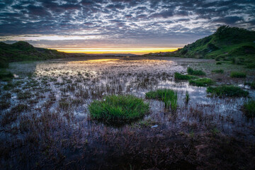 lake on bodmin moor near minions and the cheesewrings cornwall england uk 