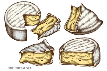 Cheese hand drawn vector illustrations collection. Colored brie.