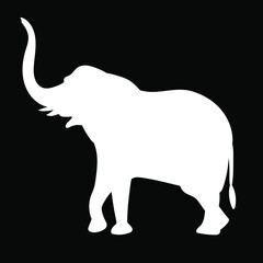 Silhouette elephants on black background. Vector eps 10