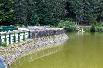 Lac Vert, Vosges, France