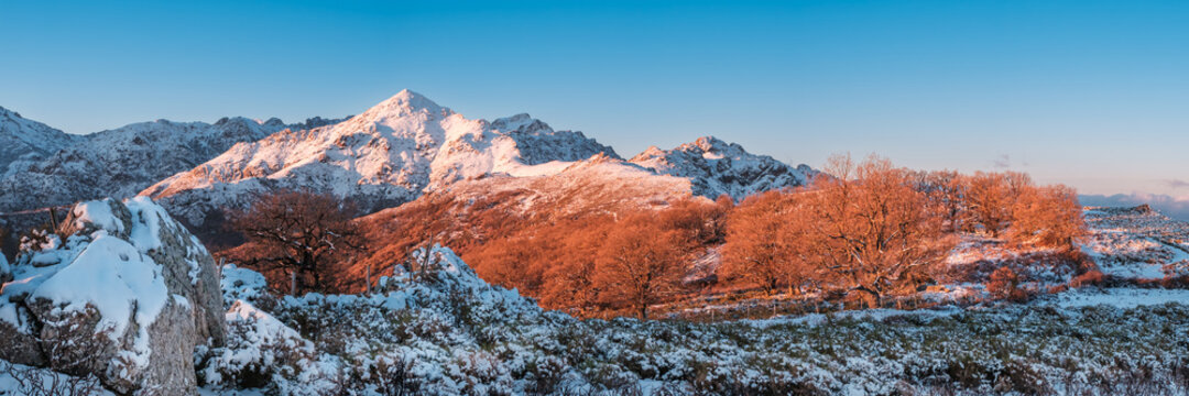 Panoramic view of the early morning sun on the snow covered peak of Monte San Parteo and a groiup of trees with winter foliage from the Col de Battaglia in the Balagne region of Corsica