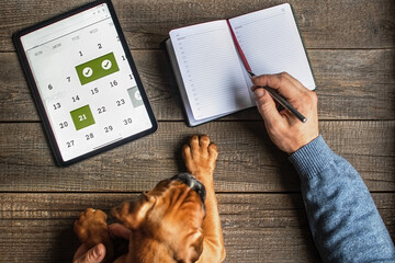 A man sits at a table, he has an online electronic calendar on his tablet in which he is going to write down the planning of affairs. He has a German boxer puppy in his arms.