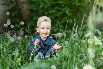 the boy sits on the grass and holds a dandelion in his hand