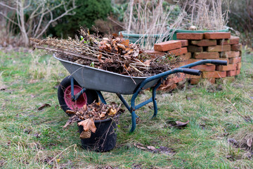 Wheelbarrow, bucket, biomass, garden, leaves, shrub, branches, compost, garden waste, organic waste, outside, dry, nature, environment, sustainably, circular economy, gardening, autumn, winter,  plant