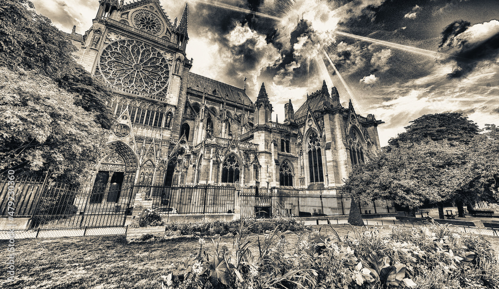 Sticker Notre Dame exterior view from Jean XXIII Park, Paris