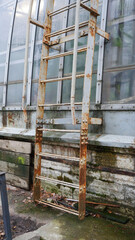 an old metal rusty staircase on the street, autumn is overcast