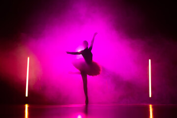 Silhouette of ballerina is practicing elements in studio with neon pink light. Young woman dancing in classic tutu dress. Gracefulness and tenderness in every movement.