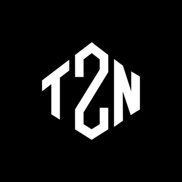 TZN letter logo design with polygon shape. TZN polygon and cube shape logo design. TZN hexagon vector logo template white and black colors. TZN monogram, business and real estate logo.