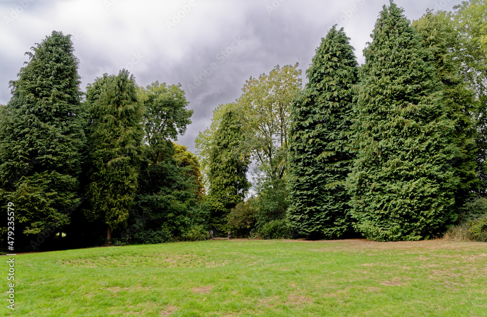 Wall mural Whipsnade Tree Cathedral - Chilterns - United Kingdom