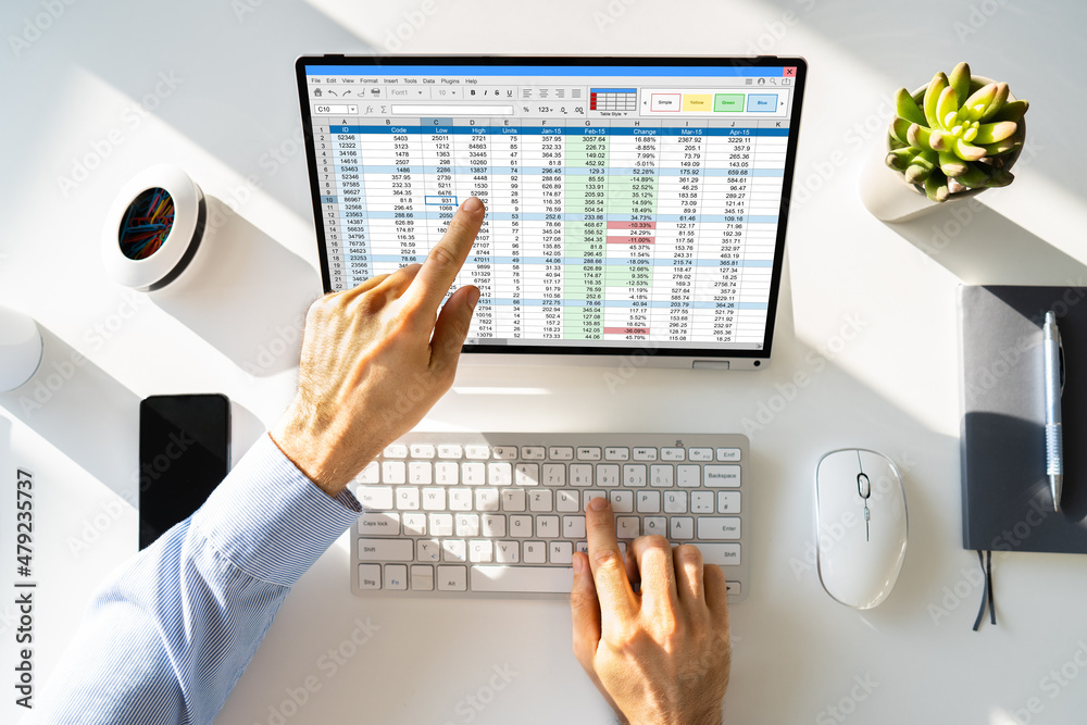 Poster Electronic Spreadsheet Analyst Or Auditor Using Software