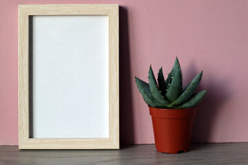 Mock up white frame with brown flower pot with succulent on pink background.