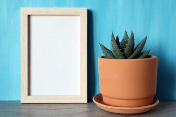 Mock up white frame with clay flower pot with succulent on blue background.