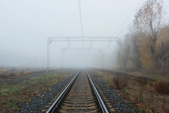 landscape with fog. telegraph pole tree and far in the fog railroad.