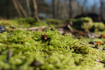 Close up and personal with nature