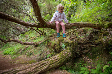 Naklejka na ściany i meble Cute blonde girl sitting on a tree above forest path.