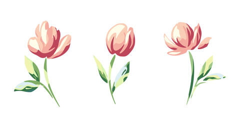 Set of pink flowers isolated on a white background. Vector illustration.