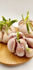 Fresh garlic with green sprouts. Coarse garlic for savory or spicy food. Chives in the kitchen.