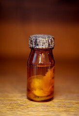 In einem Glas, Flasche befindet sich der Fötus eines Rind in Formaldehyd.