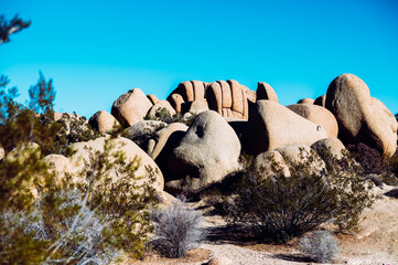 Joshua Tree National Park