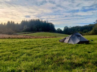 Camping in the plain surrounded by forest at sunset