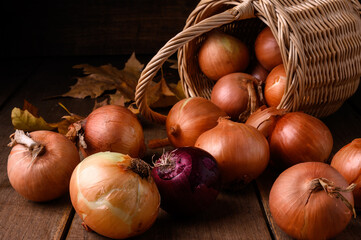 Red and white onions on a rustic wooden table spilling out of a wicker basket in the kitchen, top view. High quality photo