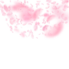 Sakura petals falling down. Romantic pink flowers semicircle. Flying petals on white square background. Love, romance concept. Dramatic wedding invitation.