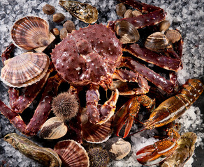 large live crab and lobster among clams on ice