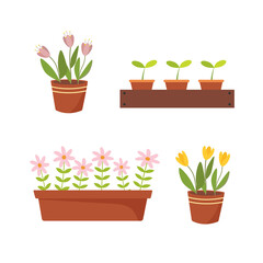 Flowers pot. Nature cartoon vector illustration of flowers