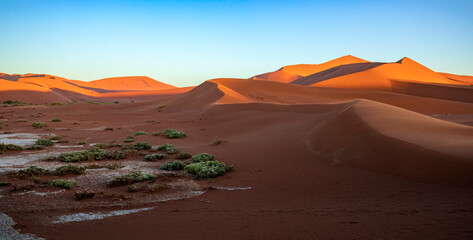 Fototapeta na wymiar Sossusvlei sand dunes in Namibia