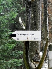 Signpost on the mountain trail. Polish mountains. The direction of travel.
